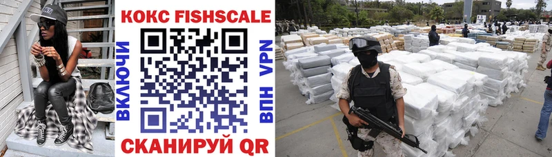 Кокаин Fish Scale  Купить где  Вятские Поляны 