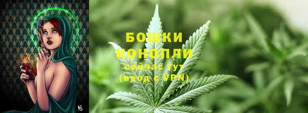 2c-b Каменка