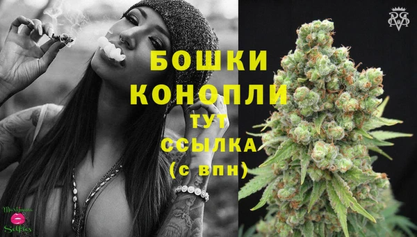 2c-b Каменка
