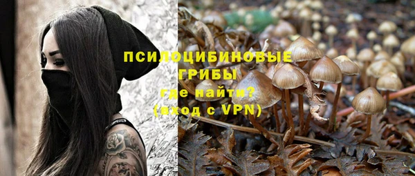 mdpv Каменск-Шахтинский
