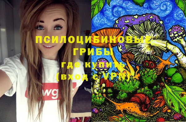 mdpv Каменск-Шахтинский