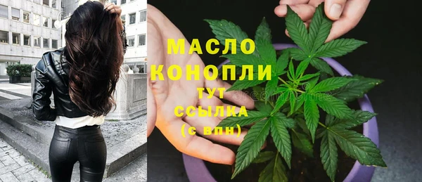 2c-b Каменка