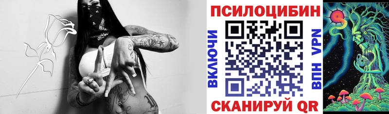 Купить где  Вятские Поляны  Галлюциногенные грибы GOLDEN TEACHER 